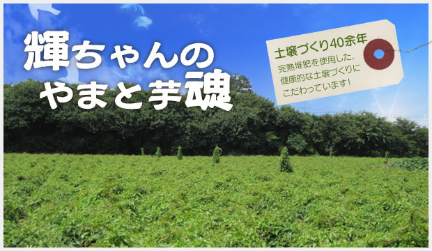 輝ちゃんのやまと芋魂 土壌づくり40余年。完熟堆肥を使用した、健康的な土壌づくりにこだわっています！